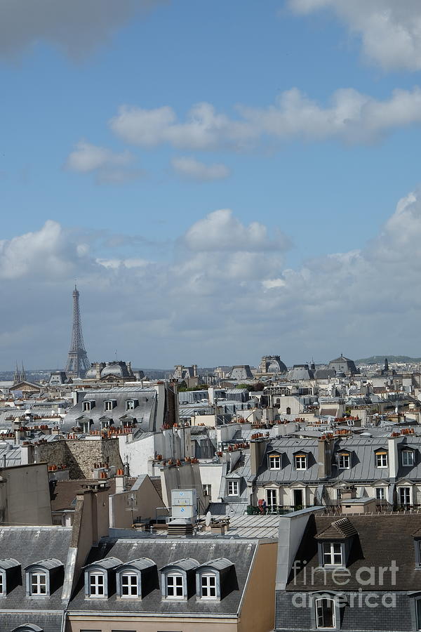Rooftops of Paris Photograph by Mini Arora