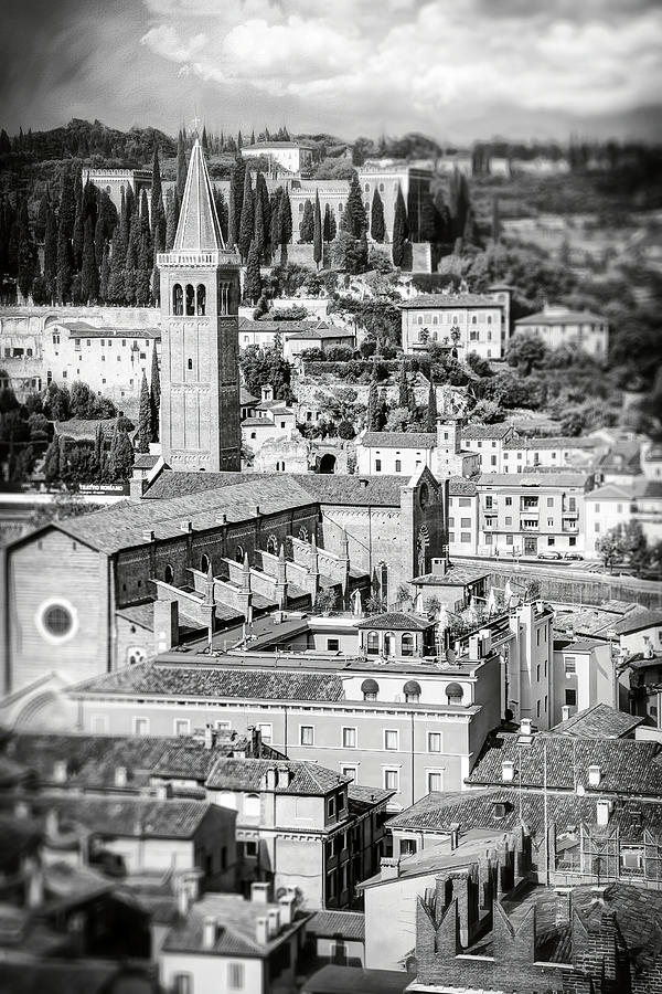 City Photograph - Rooftops of Verona Italy Black and White by Carol Japp