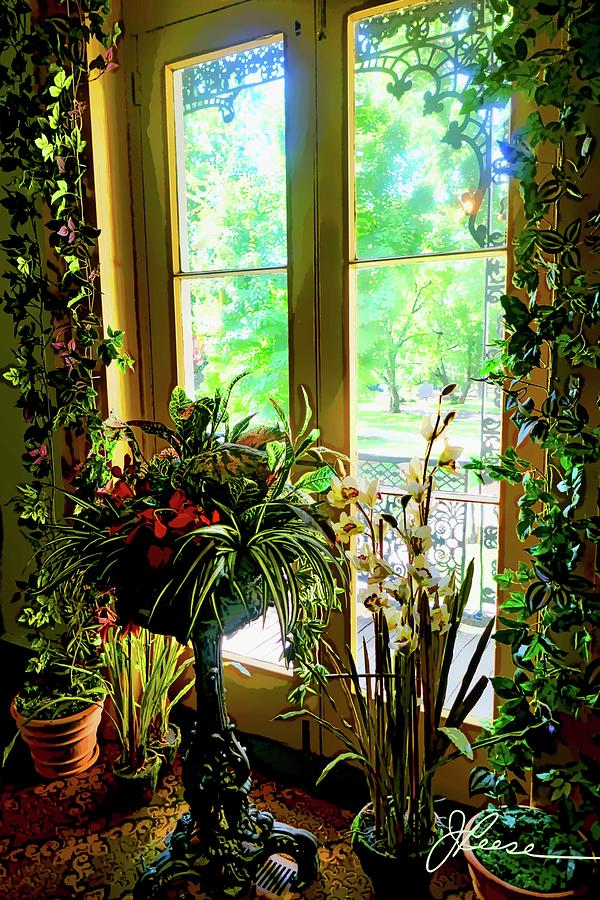 Tree Photograph - Room with a View by Joan Reese