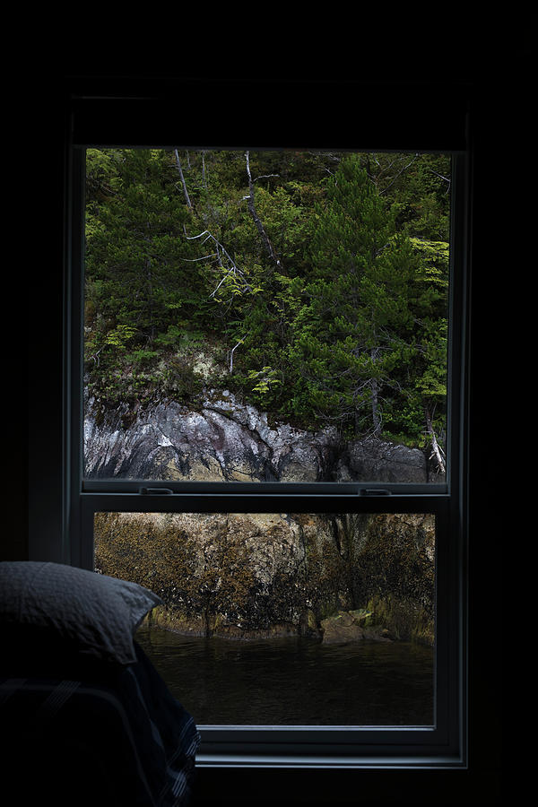 Tofino Photograph - Room With A View Of The Tofino Inlet by Cavan Images Tofino Photograph - Room With A View Of The Tofino Inlet by Cavan Images