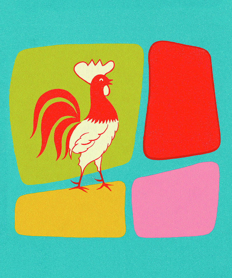 Chicken Drawing - Rooster and Color Blocks by CSA Images