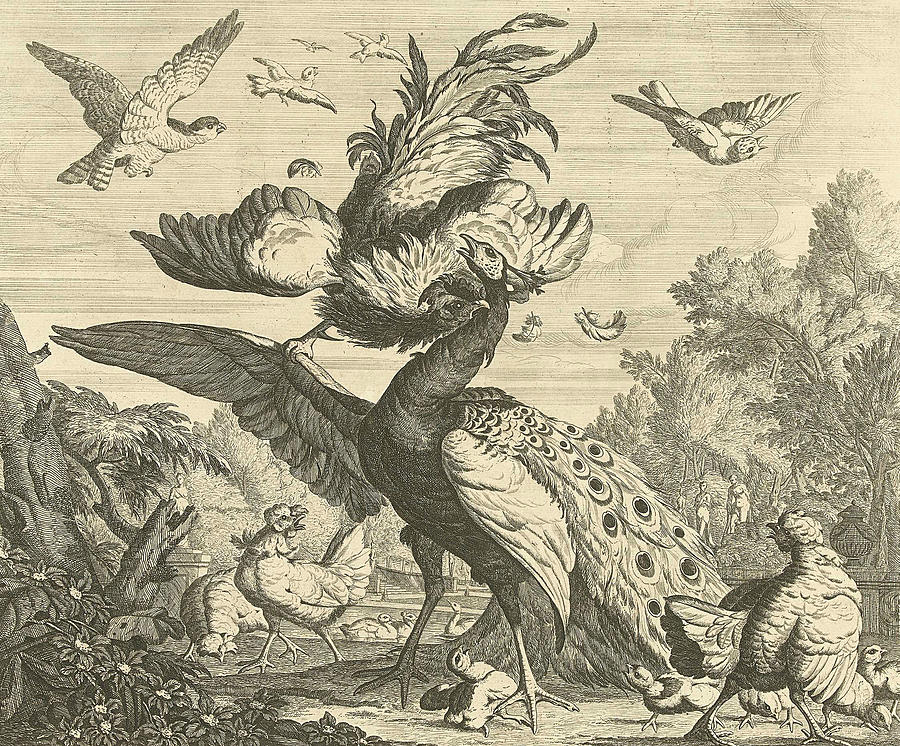 Rooster Attacks a Peacock Relief by Pieter Casteels