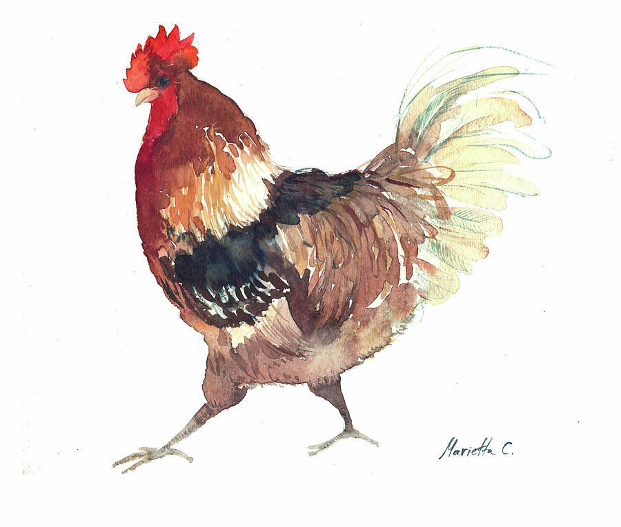 Farm Animals Painting - Rooster B by Marietta Cohen Art And Design