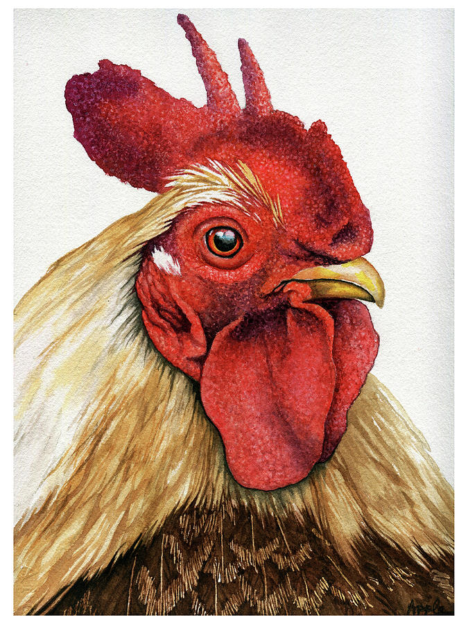 Rooster Original Watercolor Painting by Linda Apple