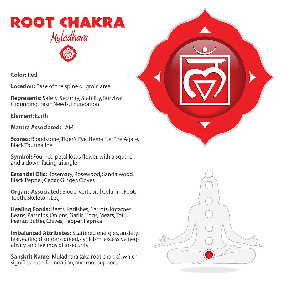 Root Chakra - Muladhara Digital Art by Serena King