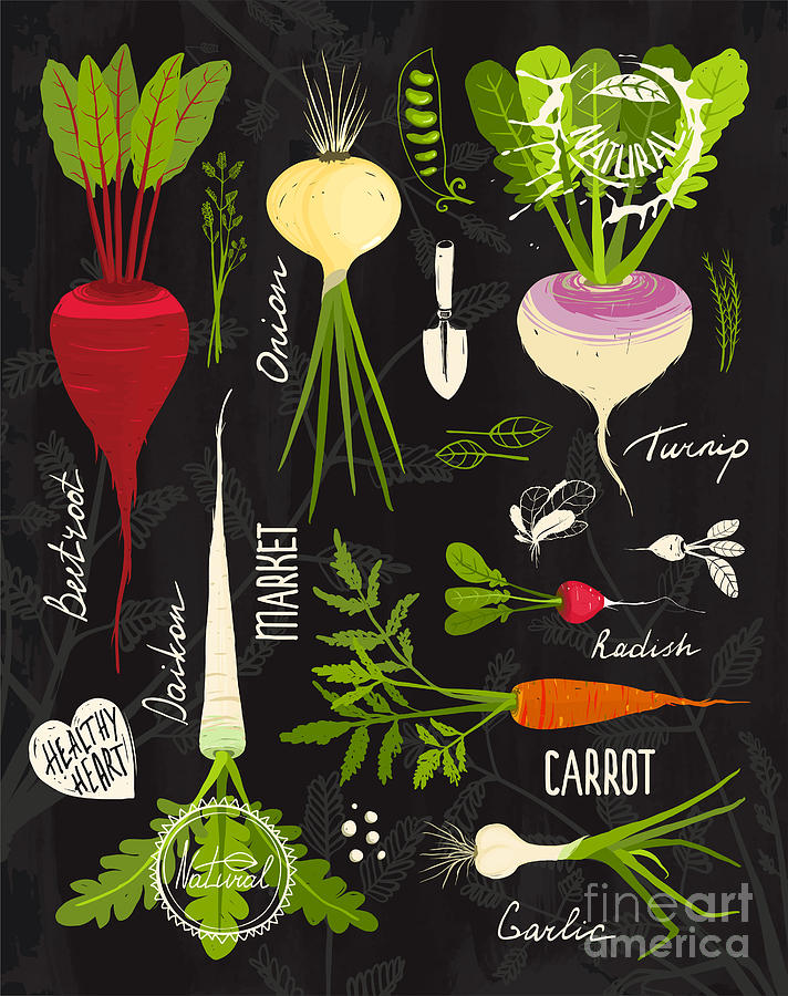Symbol Digital Art - Root Vegetables With Leafy Tops Set by Popmarleo Symbol Digital Art - Root Vegetables With Leafy Tops Set by Popmarleo
