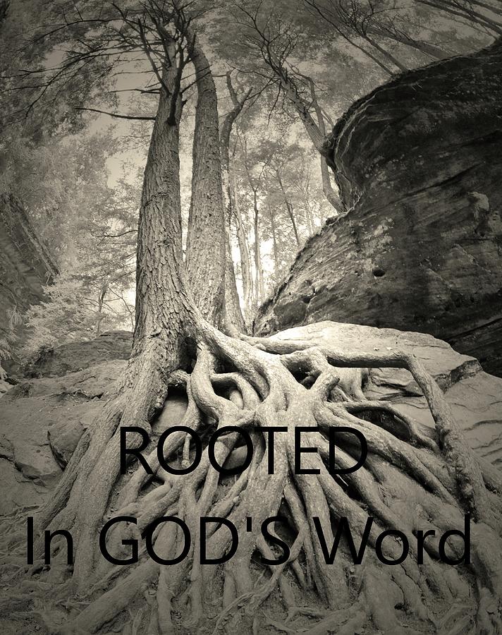 ROOTED In GODS Word Black And White Photograph by Lisa Wooten