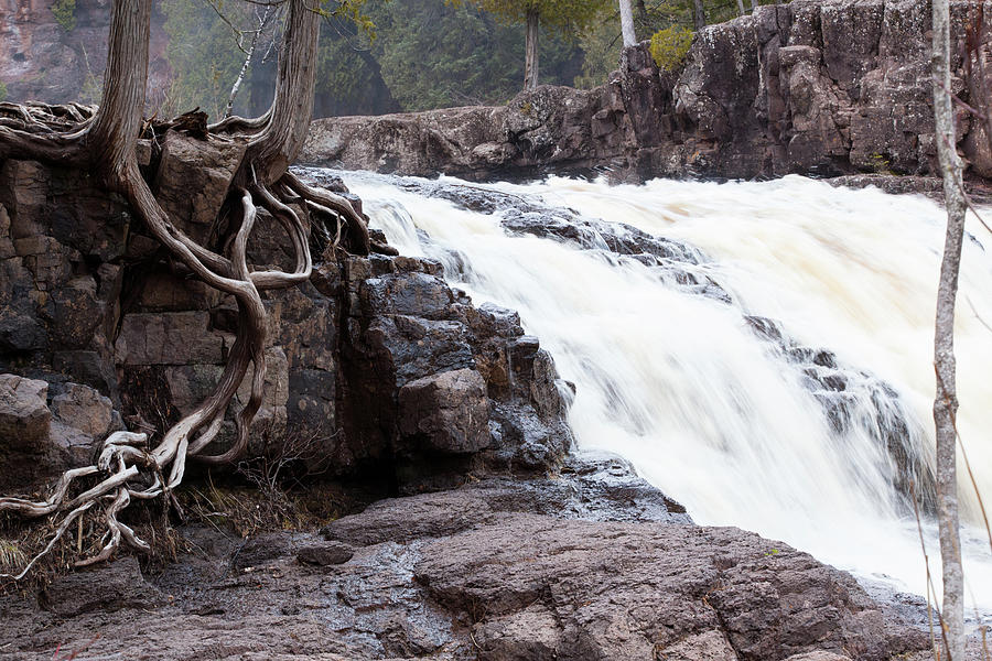 Roots Photograph - Roots And Falls by Allen Penton Roots Photograph - Roots And Falls by Allen Penton