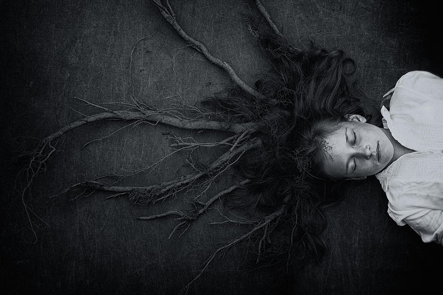 Roots Photograph by Mirjam Delrue