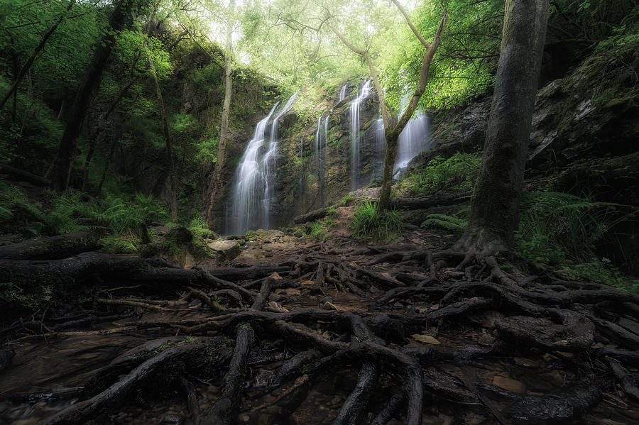 Waterfall Photograph - Roots Under Waterfall by Jorge Lopez Noval