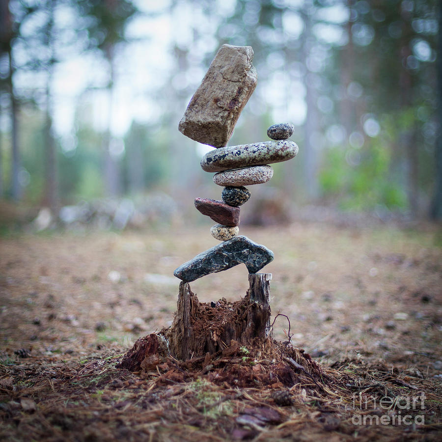 Rootzen by Pontus Jansson Rootzen by Pontus Jansson