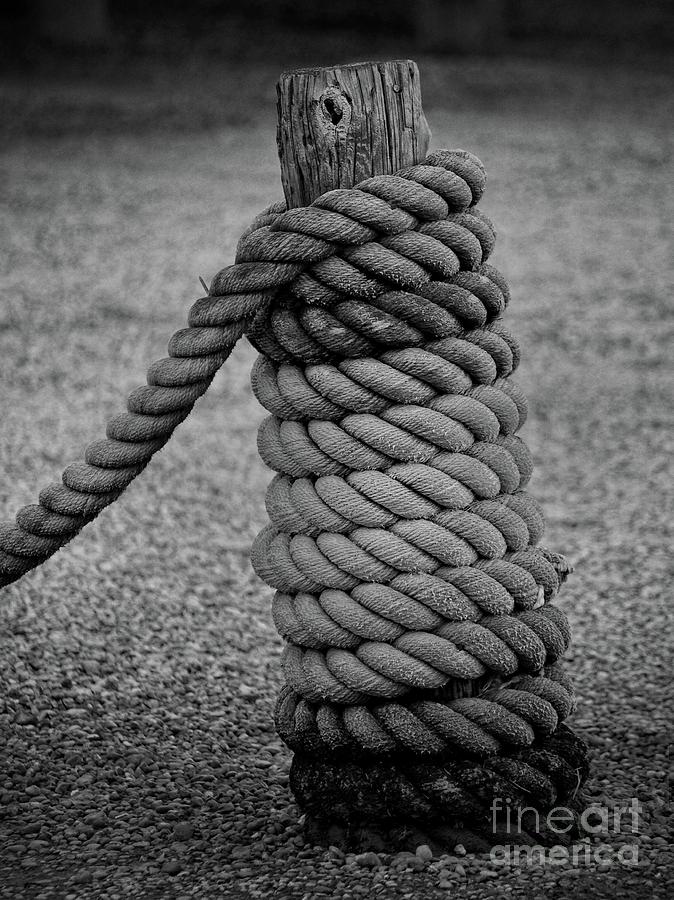 Rope and Post Photograph by Mark Miller