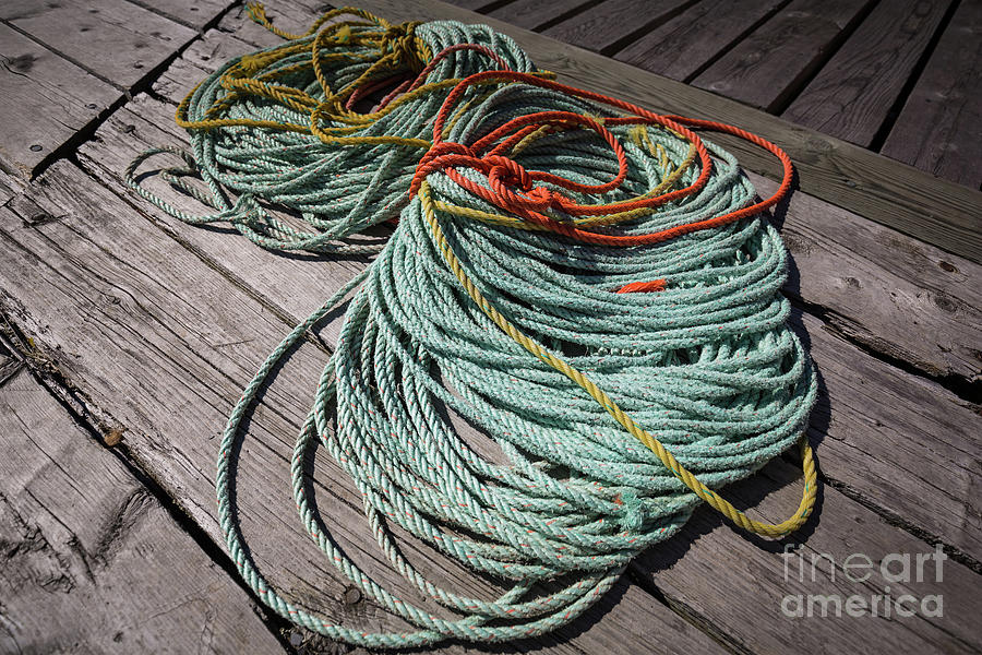 Rope Photograph - Rope by Eva Lechner