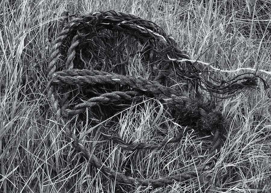 Rope In The Grass Photograph by Jeff Townsend
