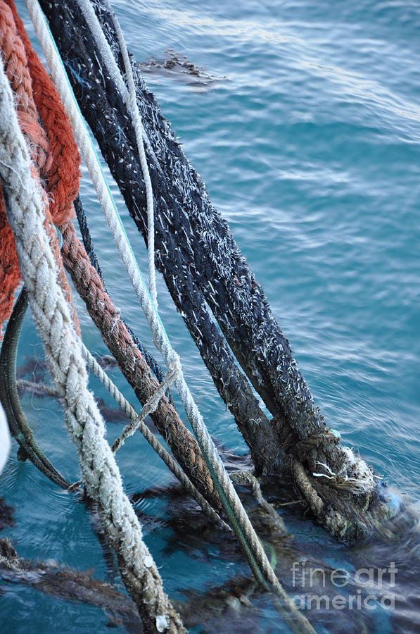 Ropes Photograph