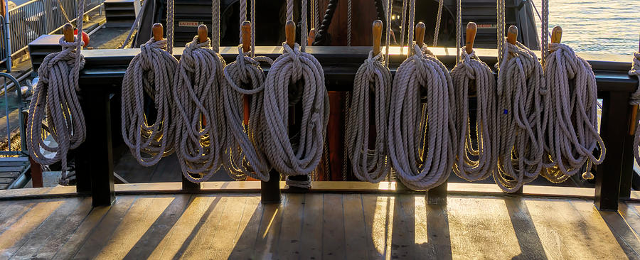 Ropes Photograph by Cathy Anderson