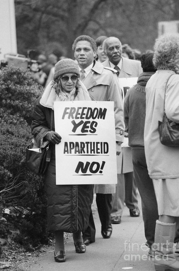 Rosa Parks Protesting Apartheid Photograph by Bettmann