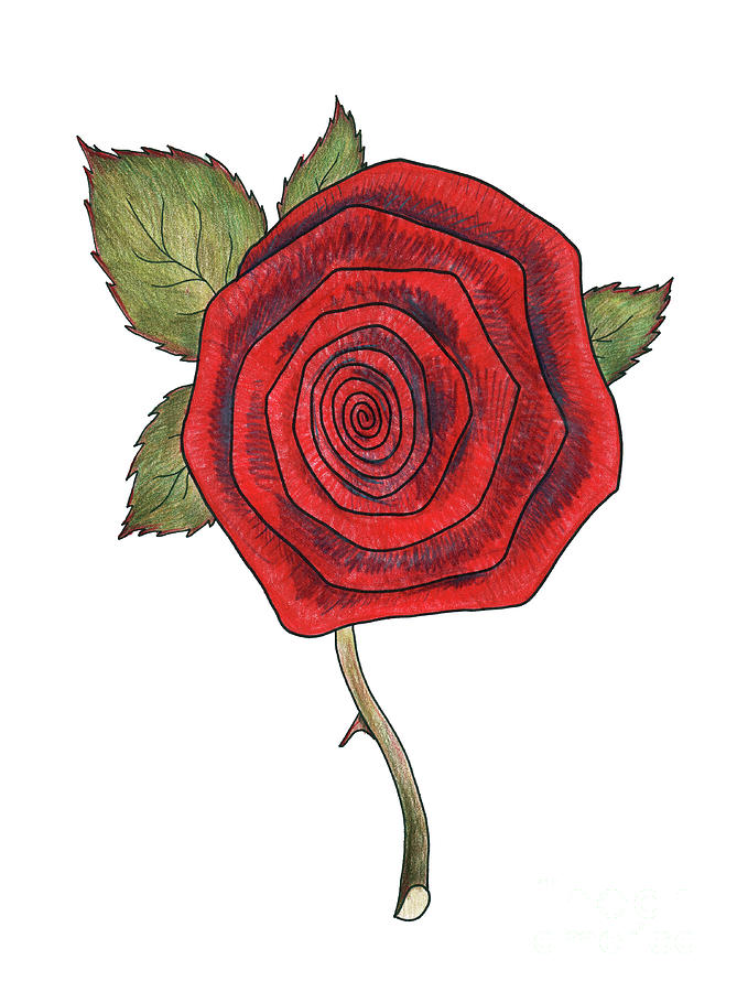 Rose 2 Painting by Faisal Khouja