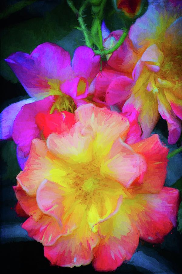 Flower Photograph - Rose 392 by Pamela Cooper