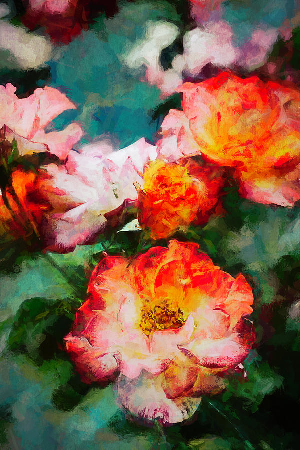Flower Photograph - Rose 399 by Pamela Cooper