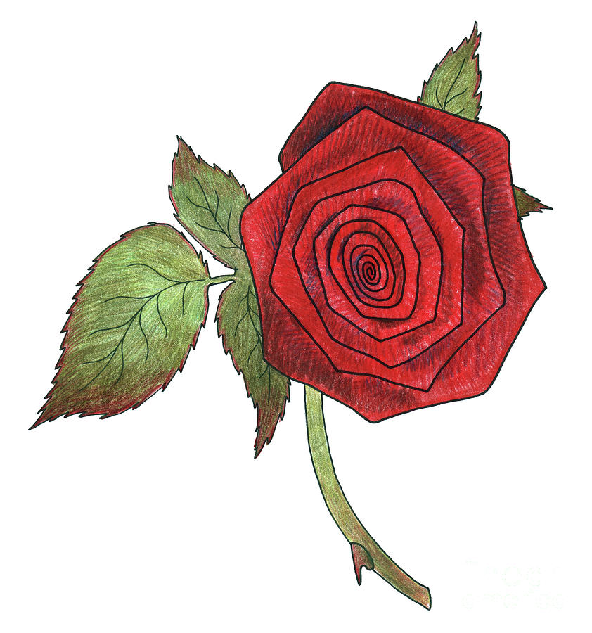 Rose 5 Painting by Faisal Khouja