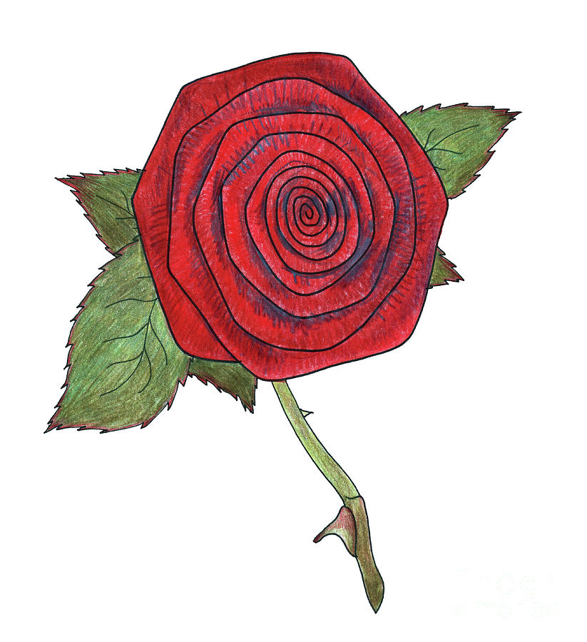 Rose 6 Painting by Faisal Khouja