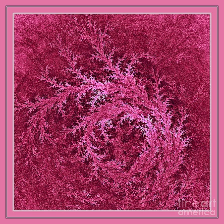 Rose Blush Digital Art by Doug Morgan