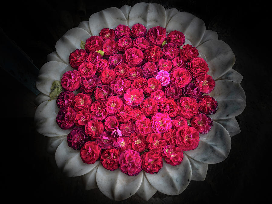 Rose Bowl by Robin Zygelman Rose Bowl by Robin Zygelman