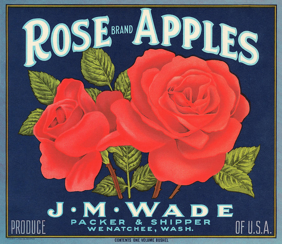 Rose Brand Apples Painting by Unknown