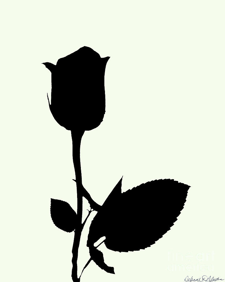 Rose Bud Silhouette by Deborah Eve Alastra Rose Bud Silhouette by Deborah Eve Alastra