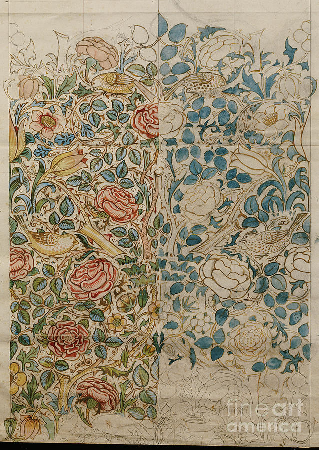 Rose, Design For Chintz Painting by William Morris