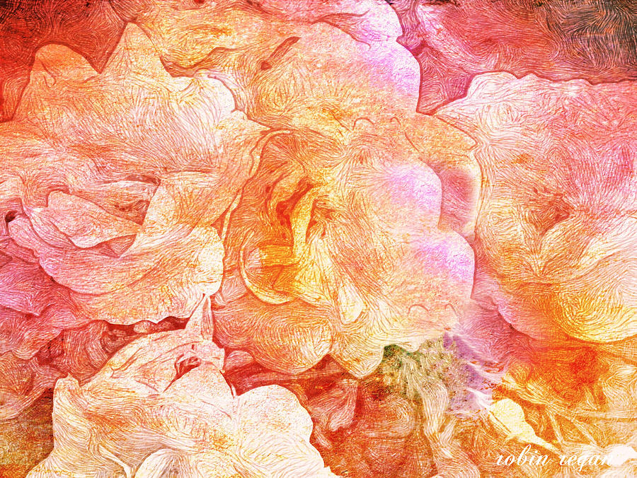 Flower Mixed Media - Rose Explosion  by Robin Regan