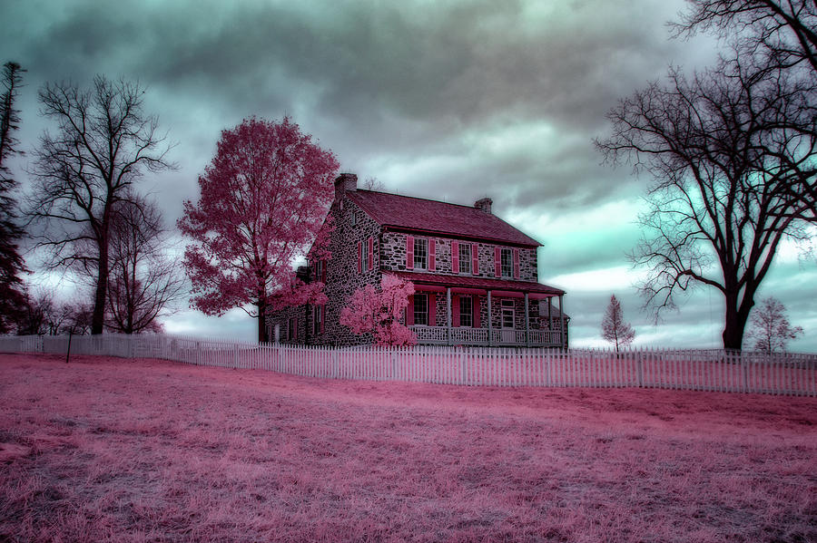 Rose Farm In Infrared Photograph
