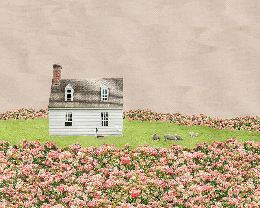 Rose Farm in Pink Photograph by Brooke T Ryan