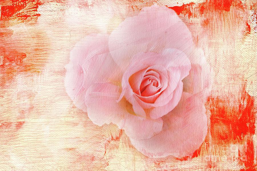 Rose for Valentines Mixed Media by Eva Lechner