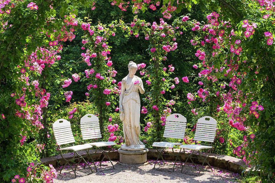 Rose Garden With Statue Digital Art by Reinhard Schmid