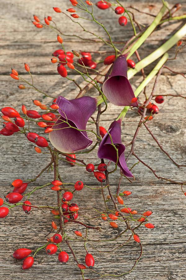 Rose Hips And Calla Lilies On Wooden Table Photograph by Elisabeth Berkau