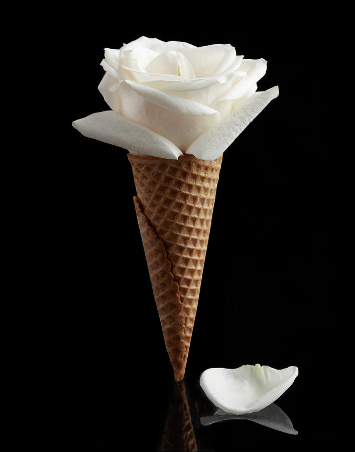Rose Ice Cream Cone Photograph by Shana Novak
