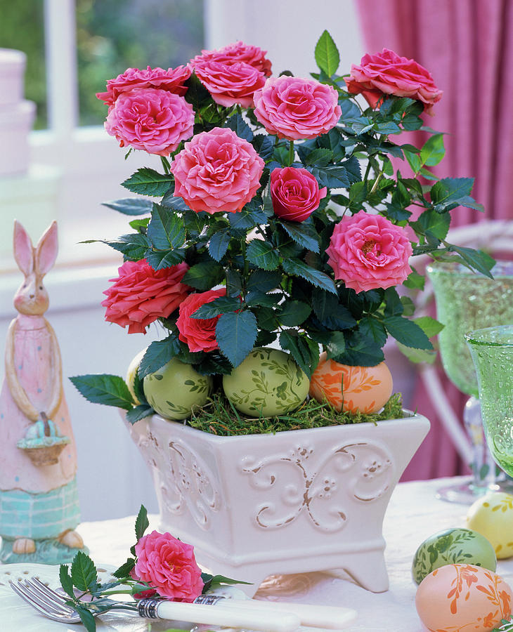 Rose In Square Relief Planter, Easter Eggs And Bunnies Photograph by Friedrich Strauss
