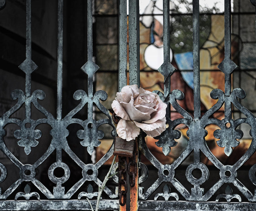 Rose on Iron Gate New Orleans Louisiana Mausoleum  Photograph by Maggy Marsh