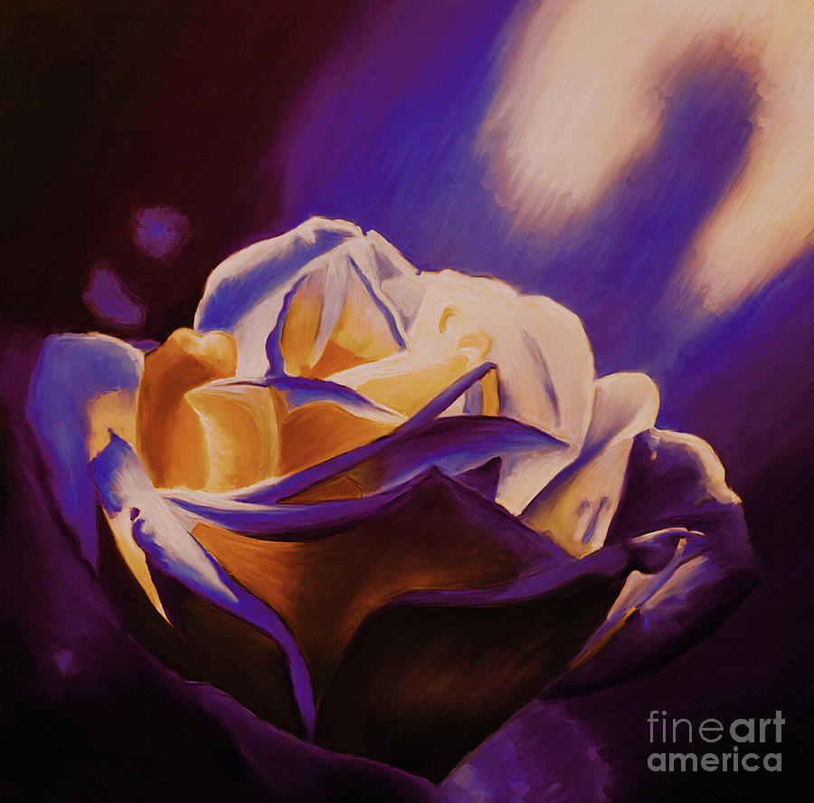 Rose light Painting by Gull G