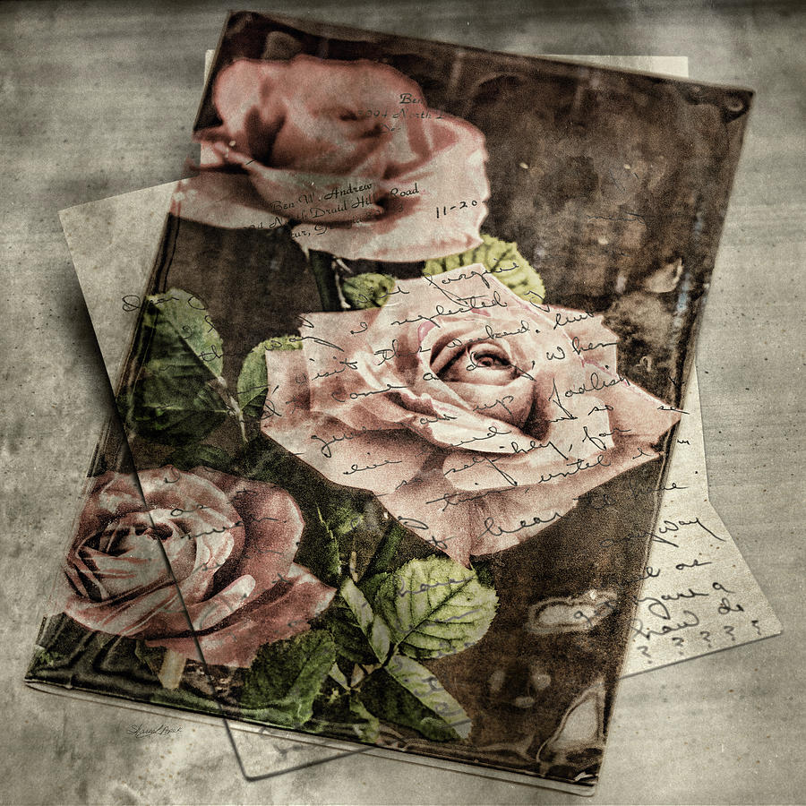 Rose Love Letters Photograph by Sharon Popek