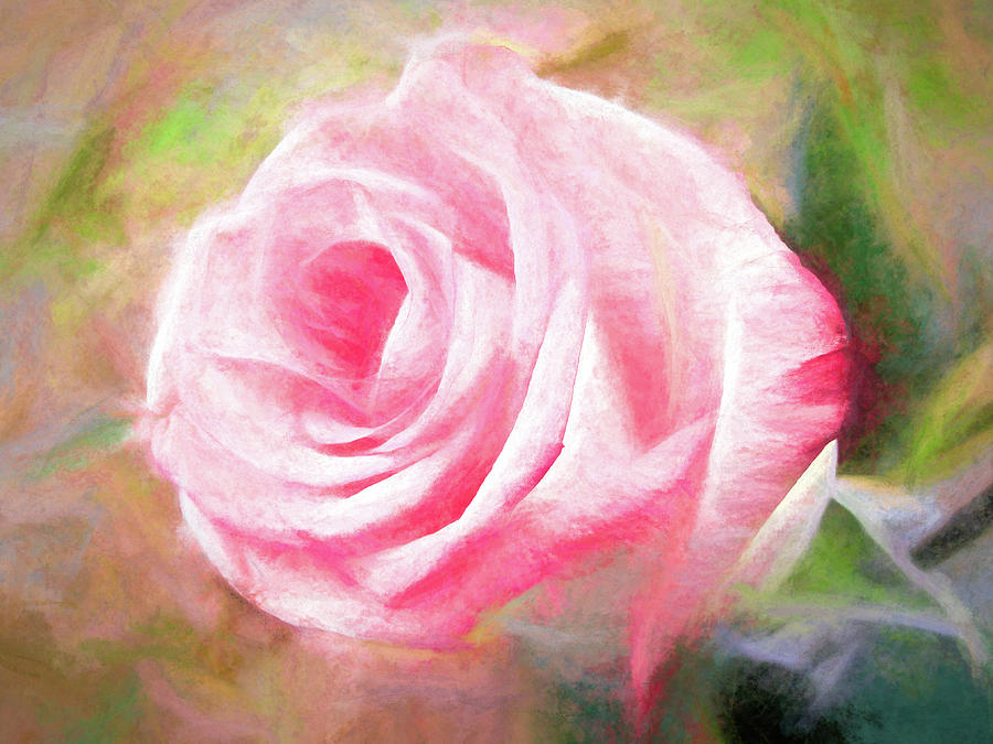 Rose of Innocence  Digital Art by Susan Hope Finley