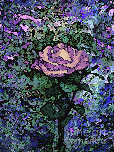 Rose of Purple and Peach Mixed Media by Corinne Carroll