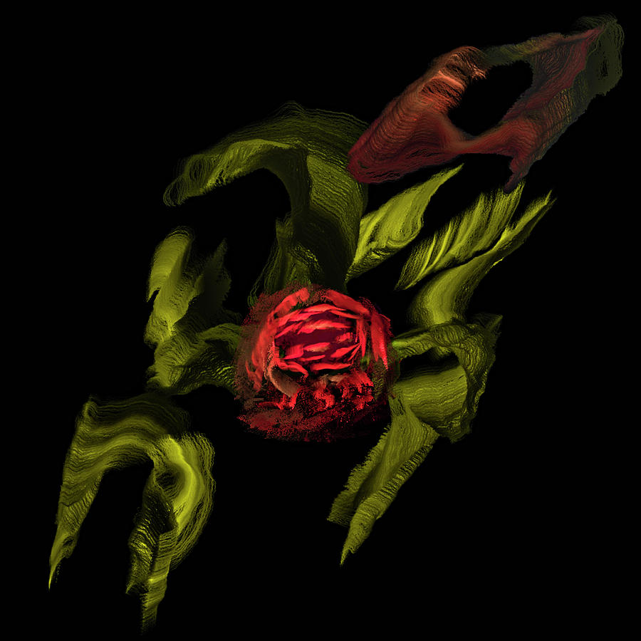 Rose on green #j2 Digital Art by Leif Sohlman
