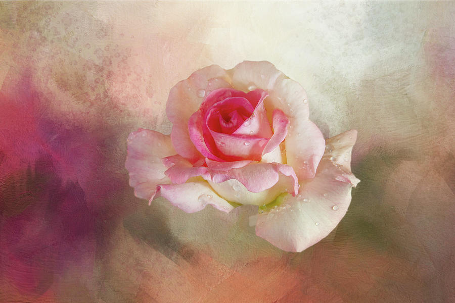Rose on Textured Sky Digital Art by Terry Davis
