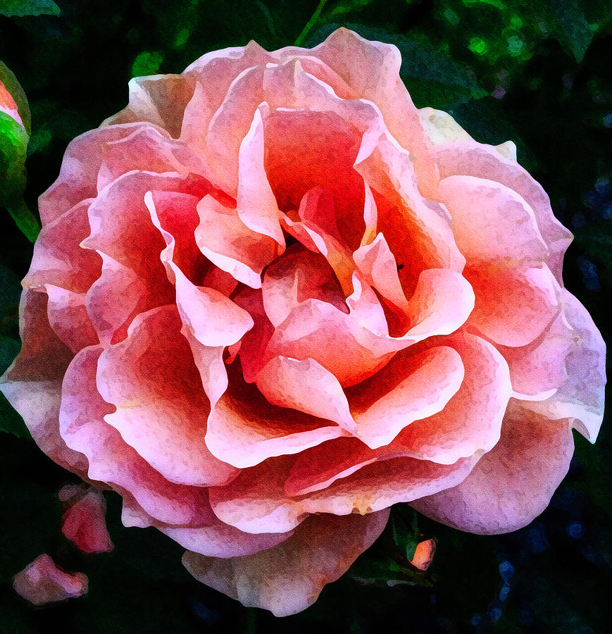 Rose Painting by Suguna Ganeshan Rose Painting by Suguna Ganeshan