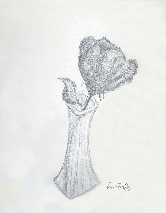 Page 32  Flower Vase Drawing Images  Free Download on Freepik