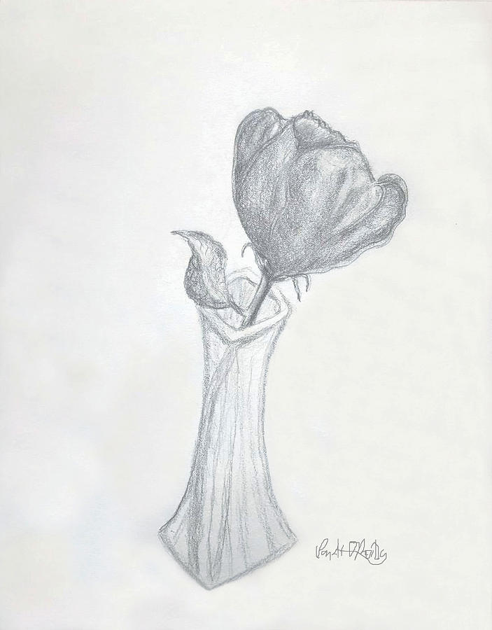 Rose Pencil Sketch