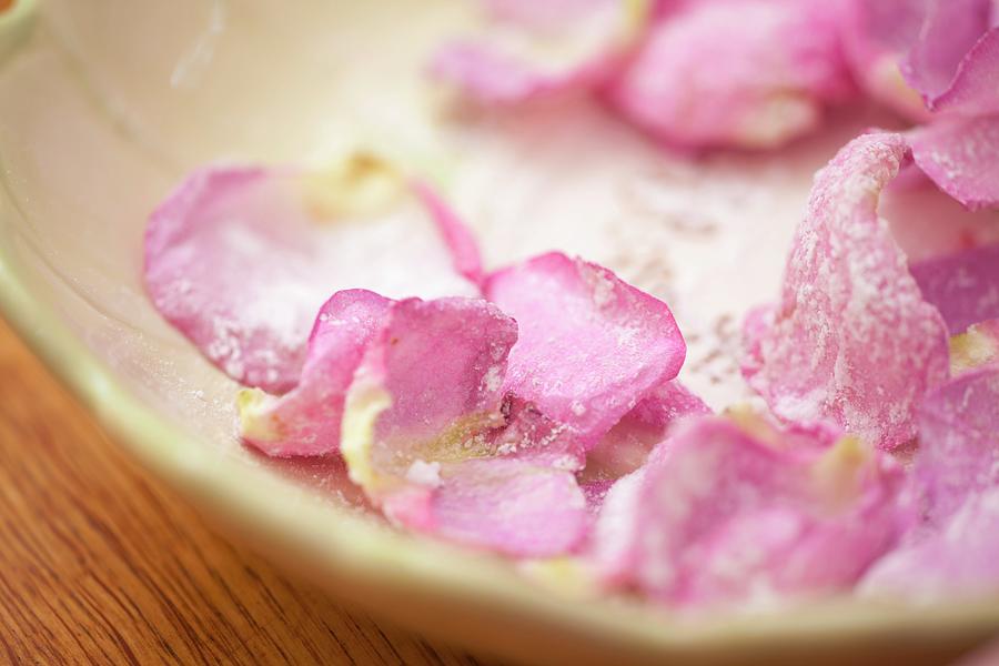 Rose Petals In Icing Sugar Photograph by Studio Lipov
